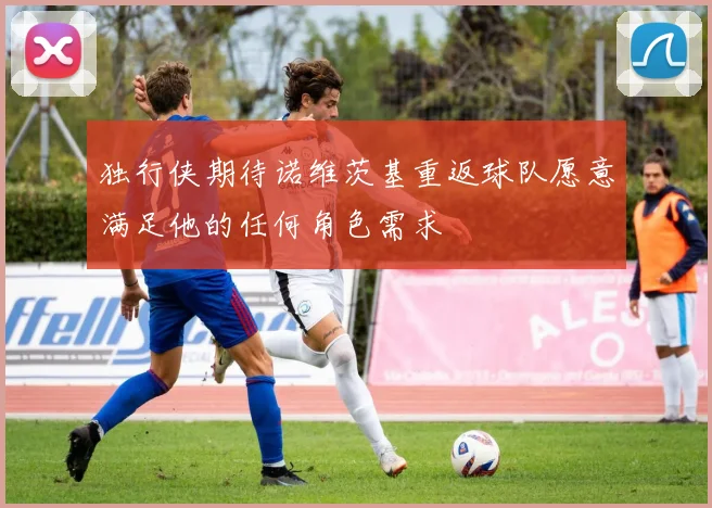 独行侠期待诺维茨基重返球队愿意满足他的任何角色需求