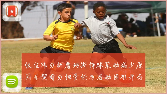 张佳玮分析詹姆斯持球策动减少原因东契奇分担责任与启动困难并存