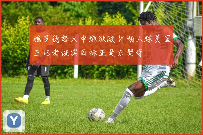 施罗德怒火中烧欲殴打湖人球员国王记者证实目标正是东契奇