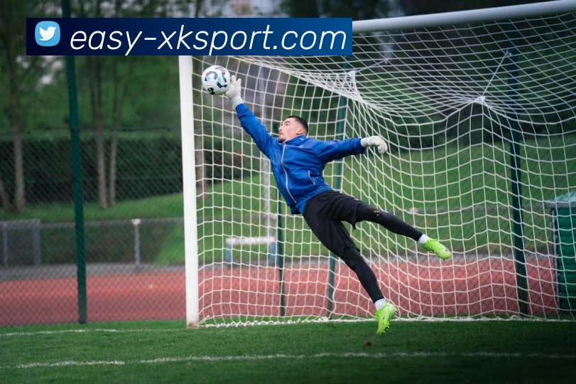 星空体育全站App